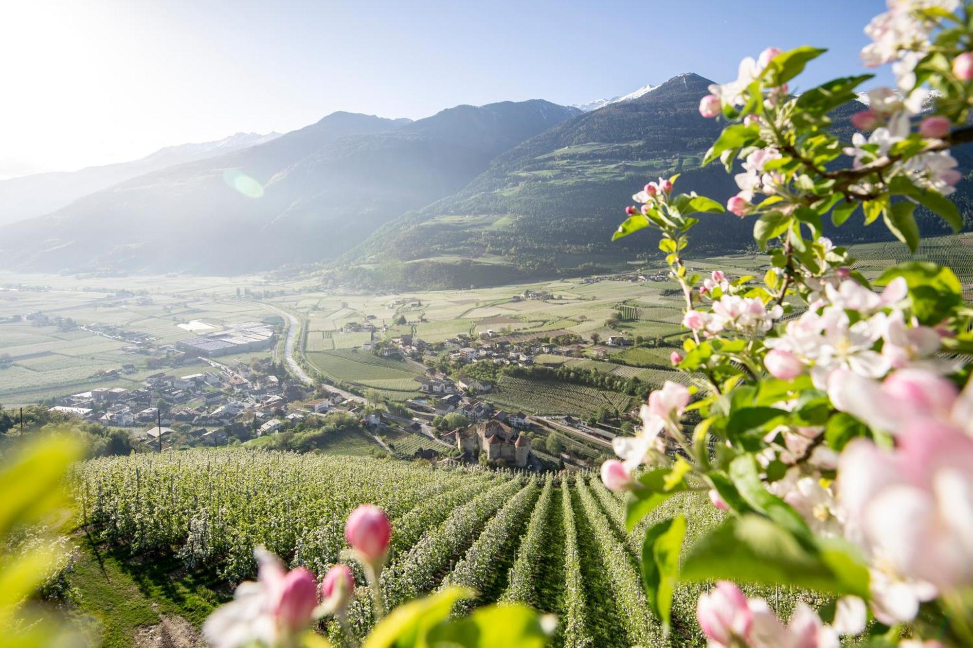 Lindenhof Pure Luxury & Spa Dolcevita Resort Naturns Eksteriør billede